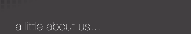 a little about us a little about us